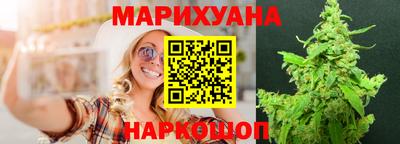 крисы Лесосибирск