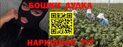 крисы Лесосибирск