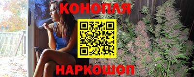крисы Лесосибирск